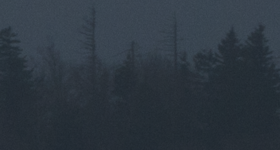 ETTR - Picture -1 zoom