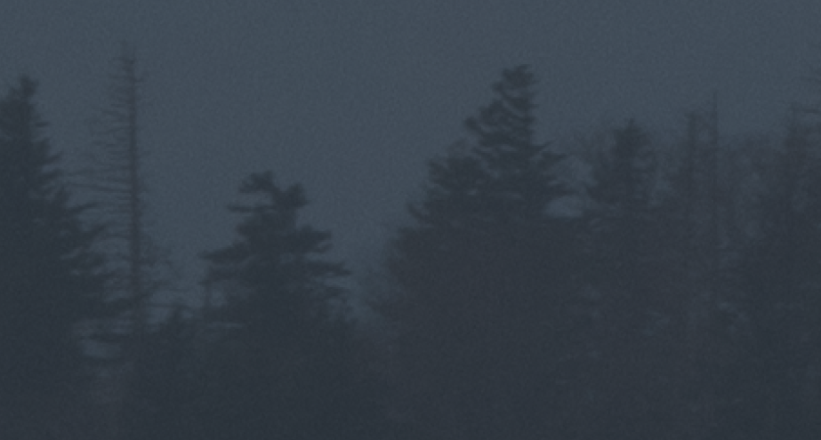 ETTR - Picture plus1 exposure -2 zoom