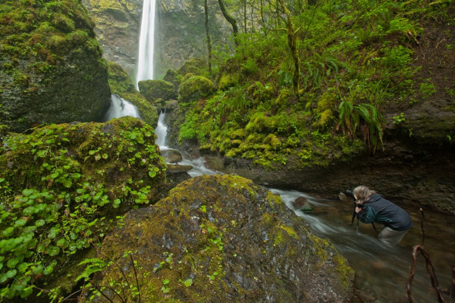 Sandy in Stream by Shamik Ganguly