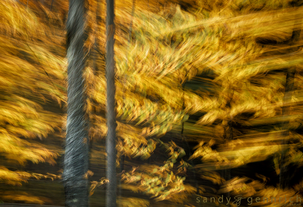 Chaos Theory - White River Junction - VT Vermont