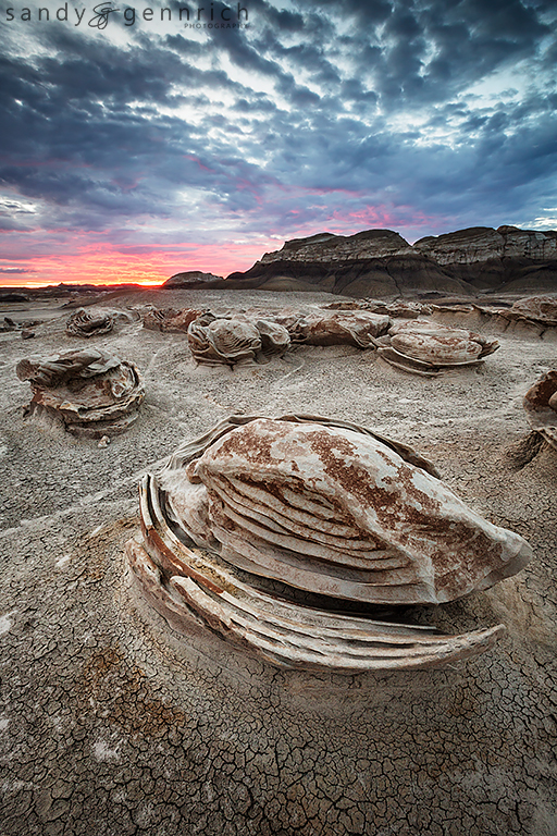 Sea Turtle - Bisti Badlands - Farmington, NM