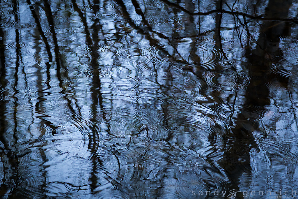Silent Echo - Acadia - Bar Harbor Maine