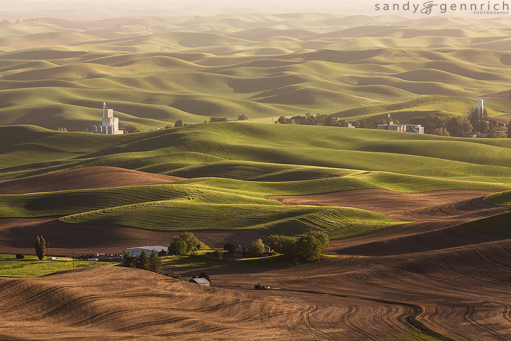 Whitman County Growers - Steptoe Butte - The Palouse WA