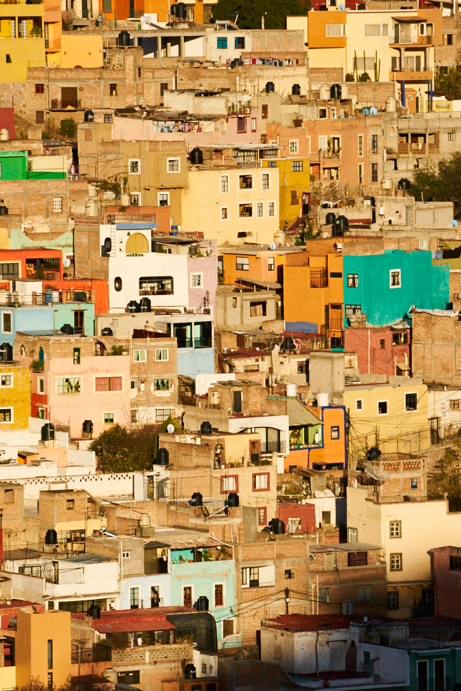 Shamik Photography - All Rights Reserved